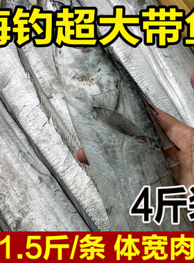 超大带鱼4指宽体宽肉厚野生海钓