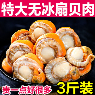 扇贝肉无冰衣新鲜冷冻超大鲜活速冻带黄海鲜贝类贝柱商用大号整箱