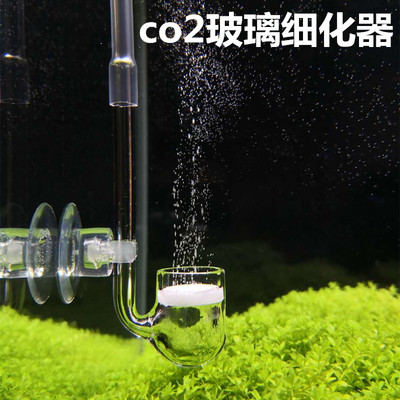 草缸小口杯玻璃细化器co2迷你