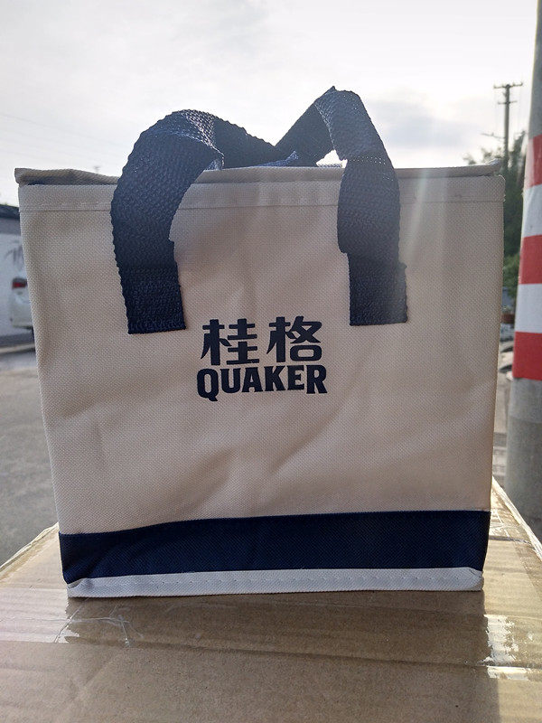 聚酯纤维加厚保鲜箱冷藏冰包上班族学生午餐便当手提饭盒袋卡通