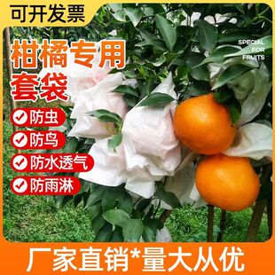 耙耙柑套袋柑橘丑柑水果袋橘子纸袋脐橙红美人爱媛石榴柿子防水袋