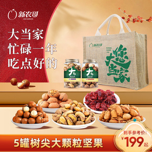 新农哥您大当家礼袋E款1740g坚果礼盒新年零食大礼包年货过年送礼