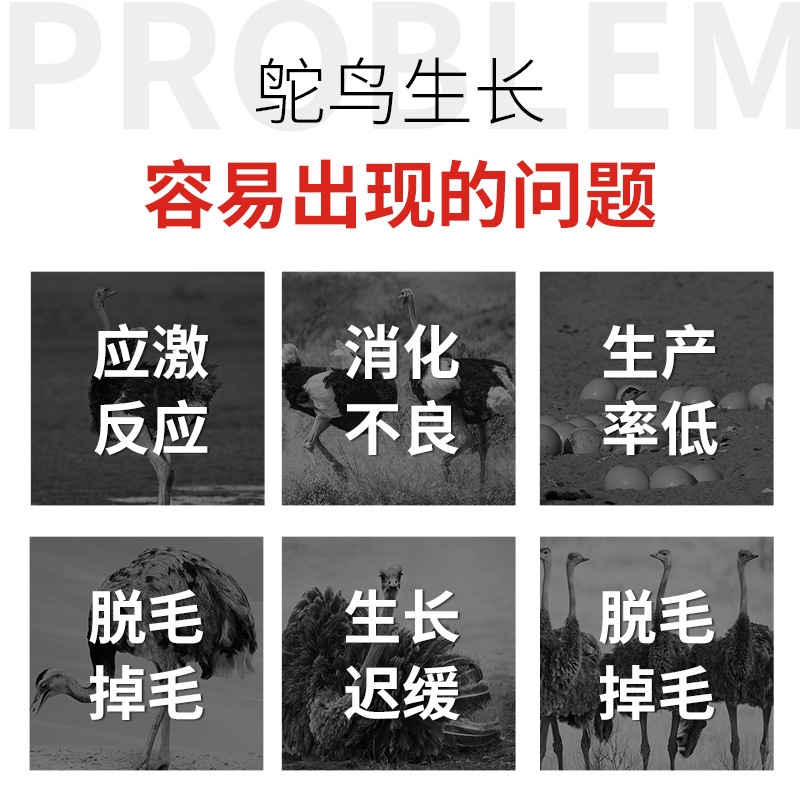 华鸵云社速补三件套鸡鸭鹅鸵鸟用补钙禽用维生素速补鸵鸟