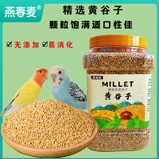 廠家黃谷子帶殼小米虎皮牡丹玄鳳鸚鵡鳥糧鳥食飼料食物1200ml