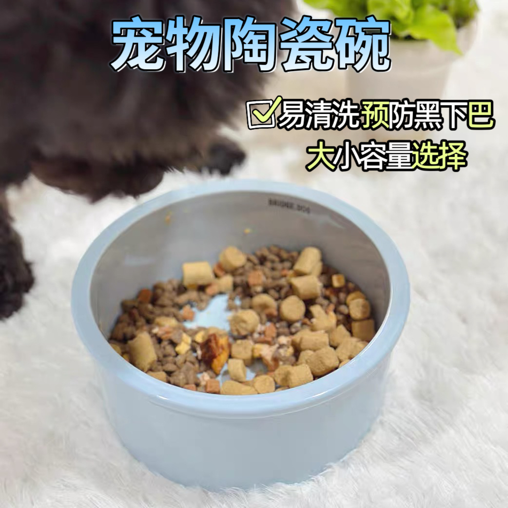 bd宠物碗猫咪陶瓷碗预防黑下巴狗