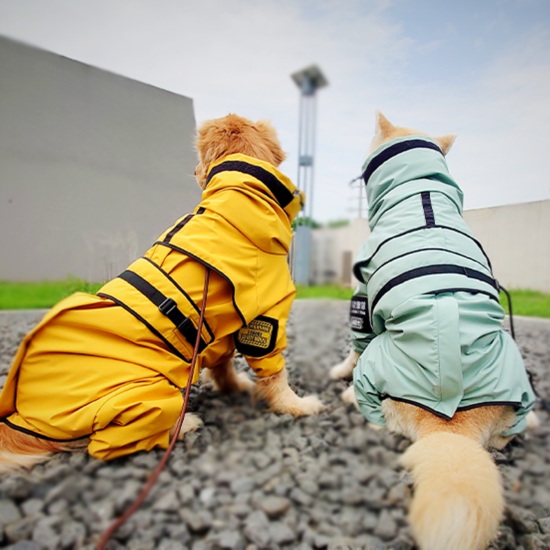 狗雨衣中大型犬雨衣四脚全包金毛边牧雨披防水冲锋衣包肚子原创款