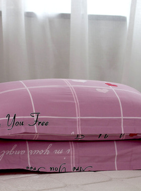 纯棉拉链枕套一对100%全棉枕头套单人45X70儿童35X55卡通48X74cm