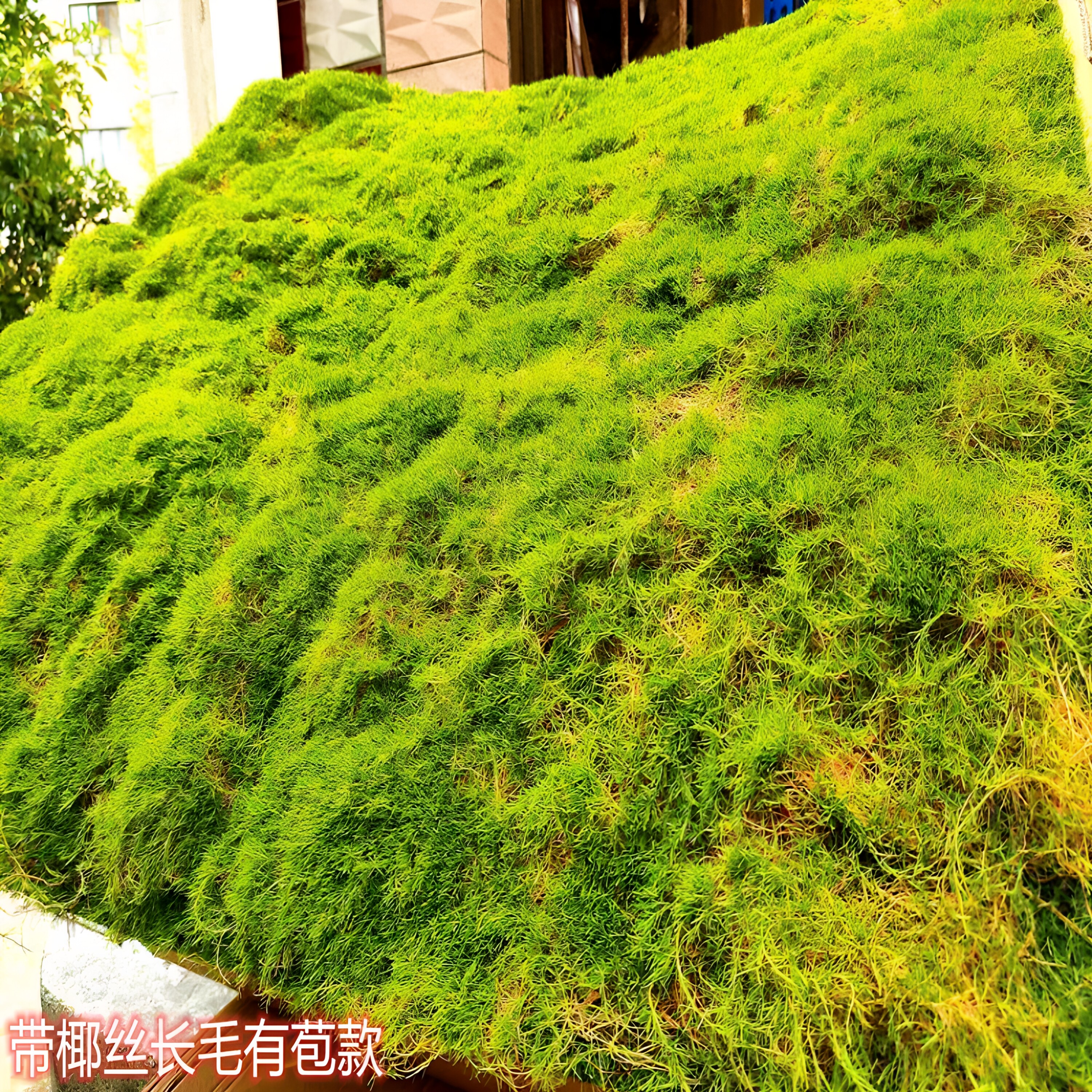 仿真植绒毛苔藓地毯永生大苞红底草坪青苔墙园林文化馆软装植物墙