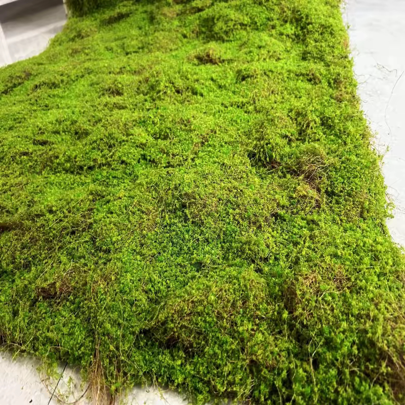 永生仿真苔藓墙地装饰植物墙