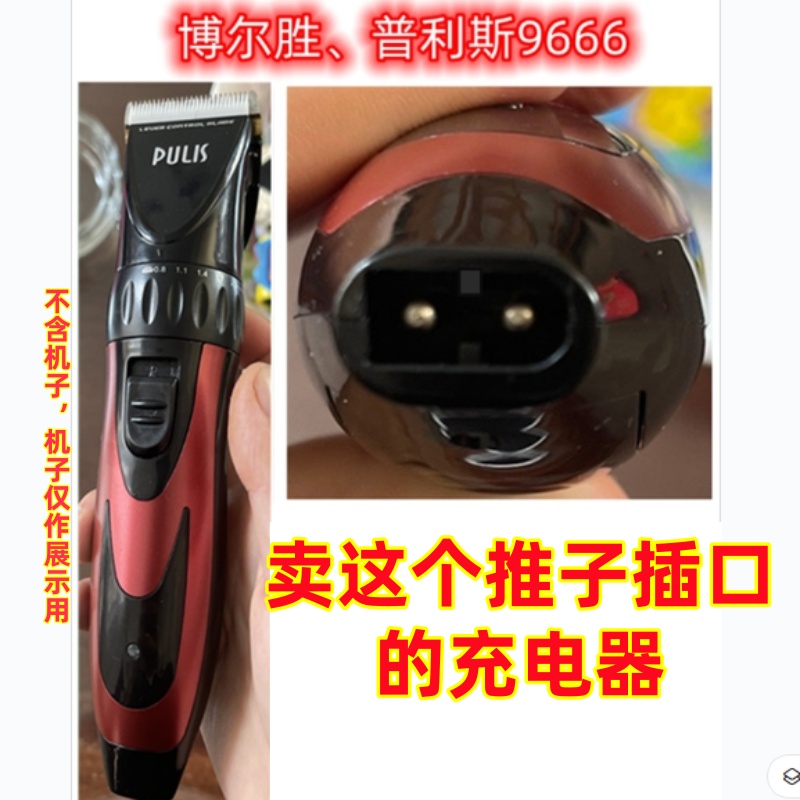 博尔胜浦利斯9666充电器电源线