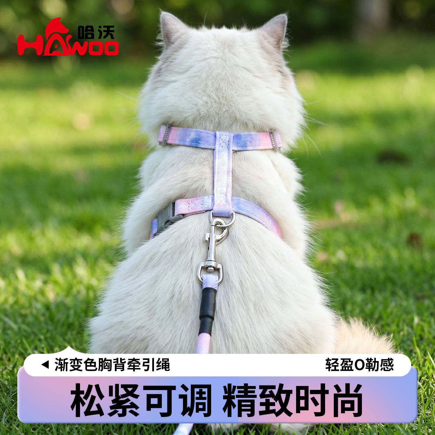 猫用工字渐变色胸背牵引绳可调节猫牵引绳
