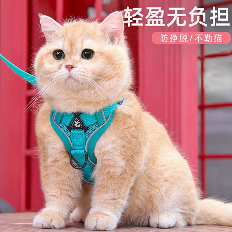 新款猫咪牵引绳背心式宠物胸背带反光透气防挣脱小型犬遛猫牵引绳
