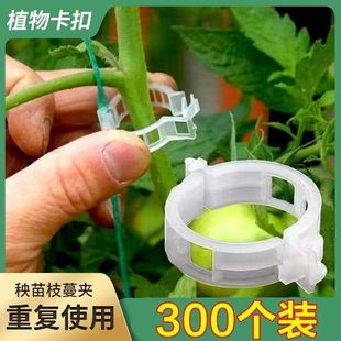 扶藤夹植物固定器瓜果绑蔓卡吊藤蔓扣夹子绑枝西红柿秧苗爬藤种植