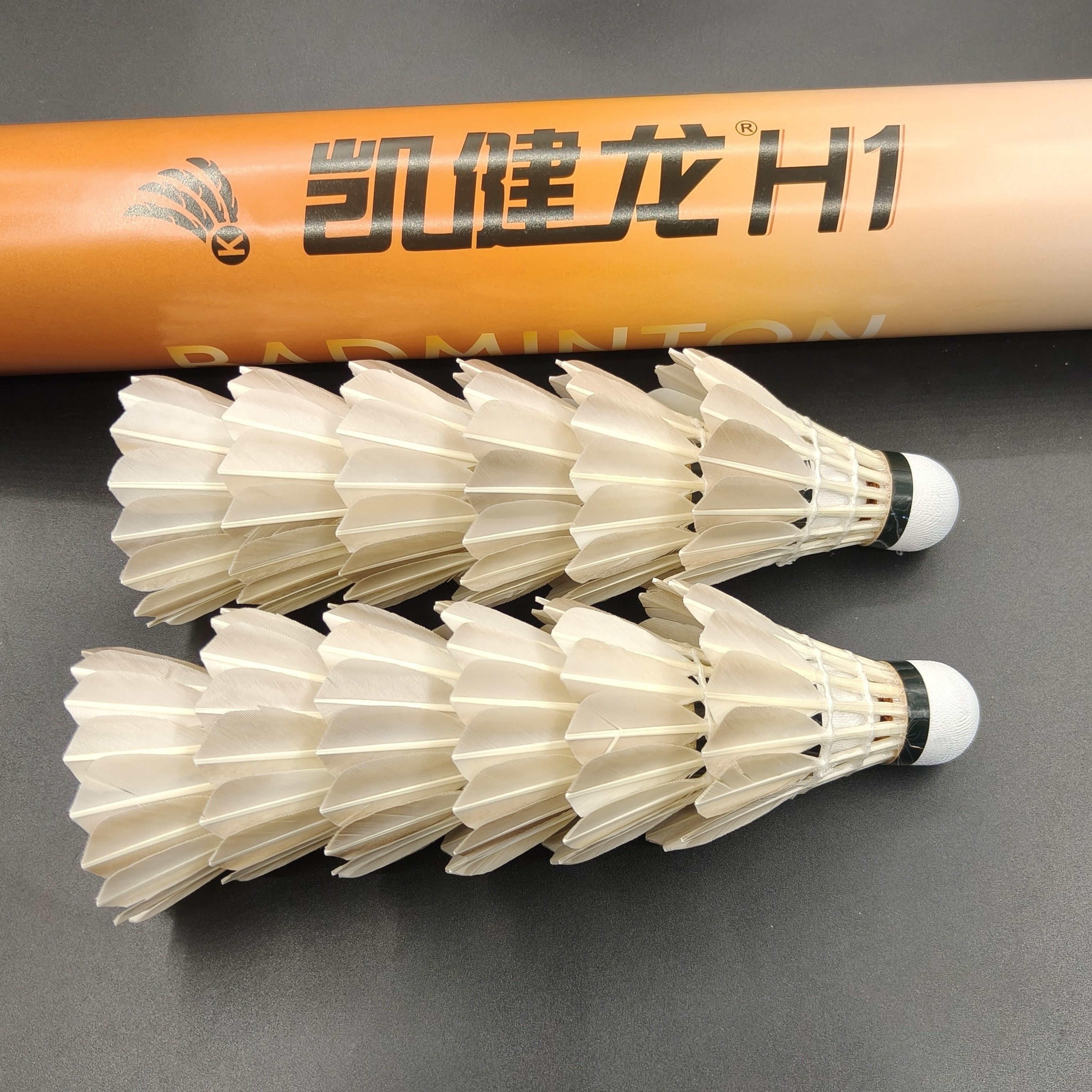 凯健龙H1羽毛球灰鸭翎全园初级初学者儿童业余爱好者训练比赛