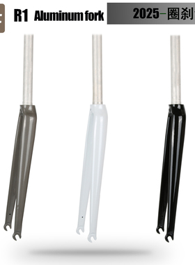 TSUNAMI海啸R1铝合金公路自行车700C前叉C夹圈刹合适28C以内外胎