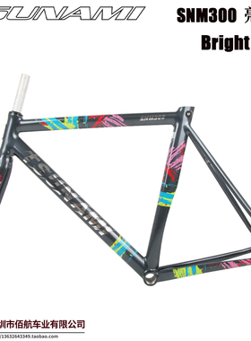 TSUNAMI海啸速那米SNM300亮灰色超轻死飞铝材竞速场地自行车车架