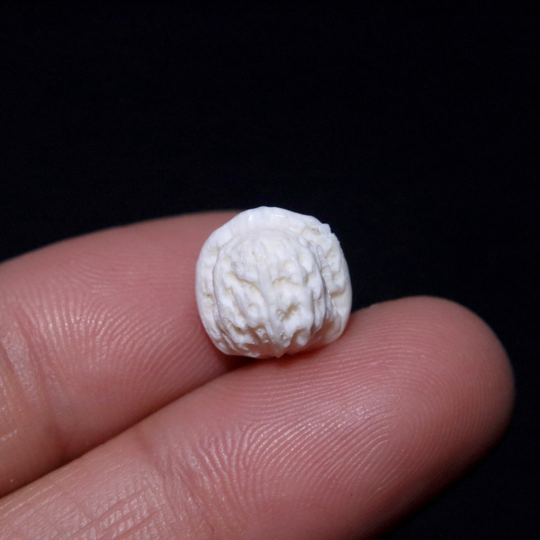 天然猛犸牙雕刻桃核散珠隔珠