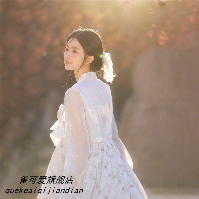 影楼韩服朝鲜民族传统女士超仙少女演出服新款写真拍照主题服饰