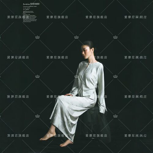 2025影楼新款国风清冷感新中式个人高级感肖像旗袍写真艺术照服装