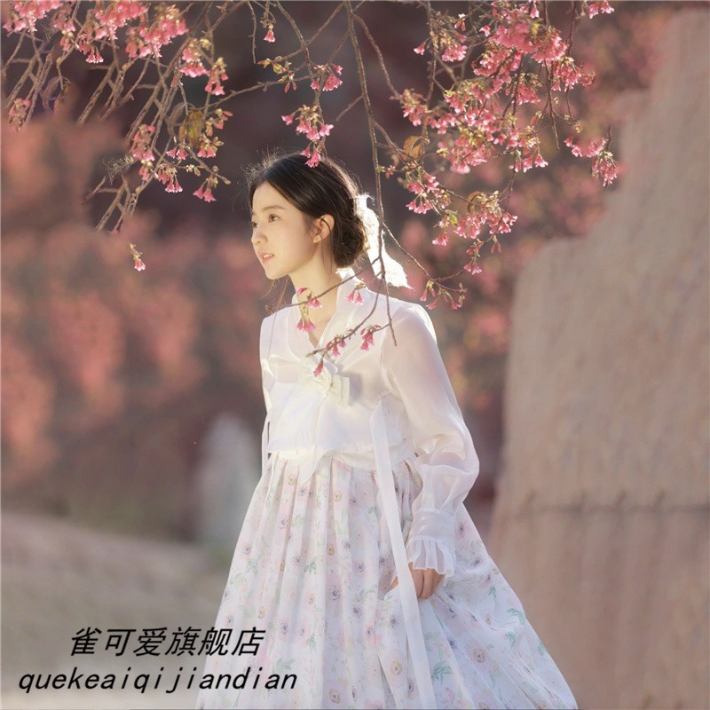 影楼韩服朝鲜民族传统女士超仙少女演出服新款写真拍照主题服饰