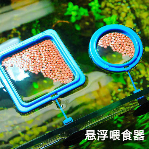 浮力喂食圈小型鱼孔雀鱼
