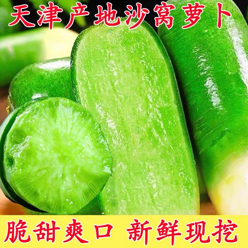 正宗天津沙窝萝卜新鲜水果萝卜青皮整箱现拔时令蔬菜当季应季生吃