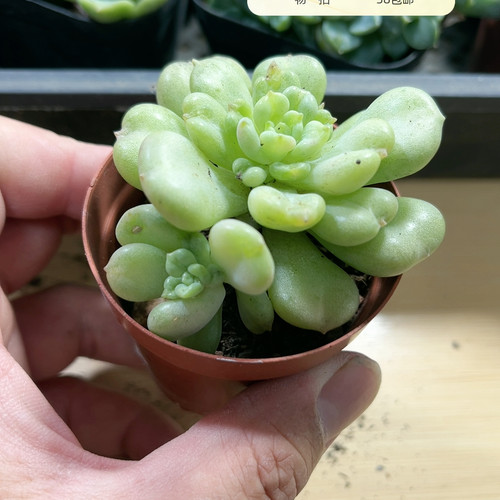 比尔盖茨