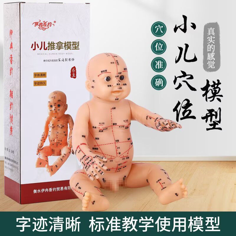 推拿娃娃人体穴位模型儿童仿真婴儿月嫂培训通用的娃娃