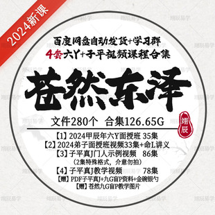 苍然东泽4套六Y子平视频课程合集2024年九宫盲P弟子面授国学资料
