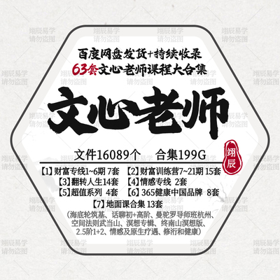 文心老师63套课程合集地面课曼驼罗导师班财富训练营情感觉醒早课