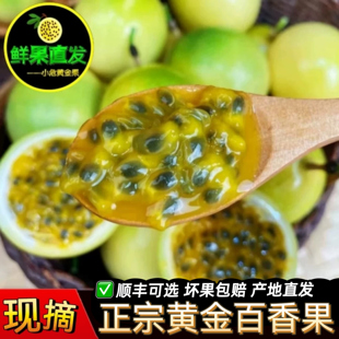 钦蜜9号黄金百香果果园直供采摘武平当季孕妇水果特果礼盒装可选