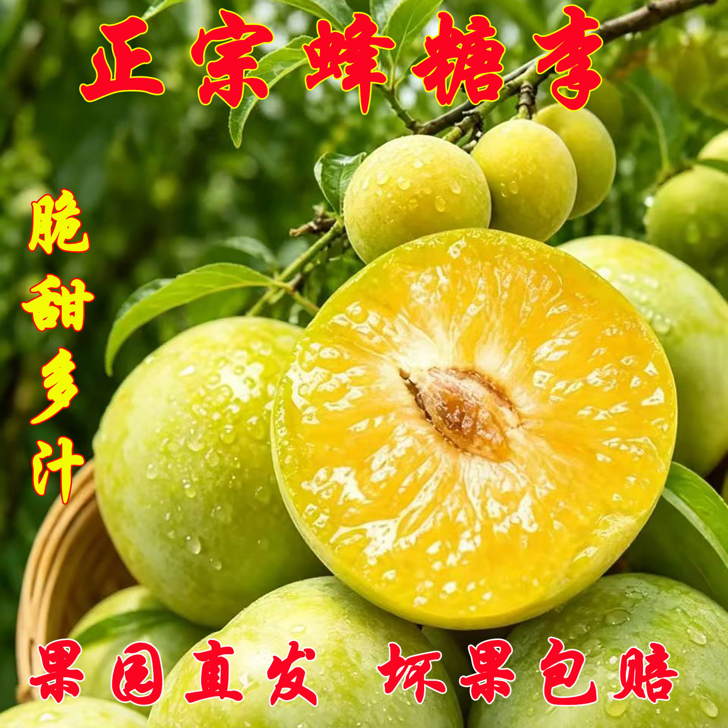 蜂糖李子新鲜水果四川脱骨李子青脆李正宗甜水果新鲜当季整箱应季