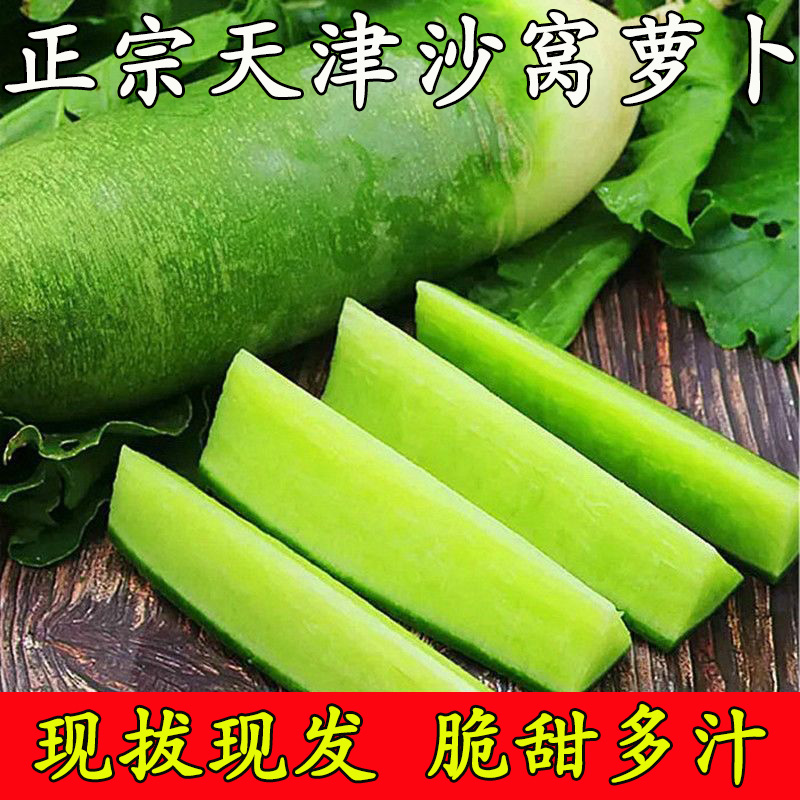 天津沙窝萝卜新鲜青萝卜五斤水果萝卜甜当季时令蔬菜整箱生吃现拔