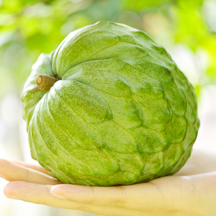 正宗海南牛奶凤梨释迦果新鲜水果现摘大番荔枝佛头牟尼果