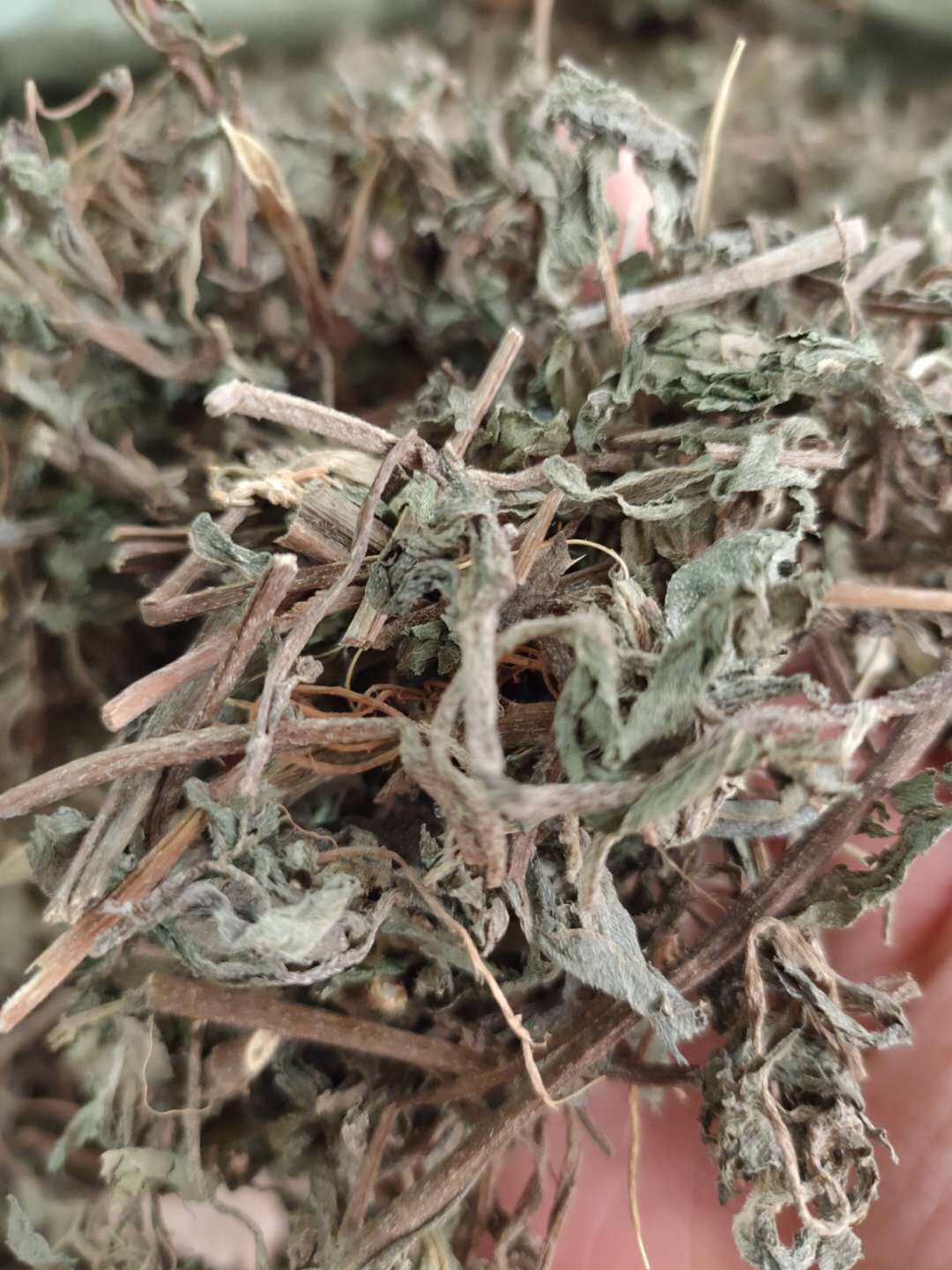 野生旱莲草 黑墨草 墨旱莲 新货晒干干品2斤一件