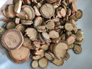 野生药材飞龙掌血 见血飞 散血飞 三百棒 干品纯根无提取