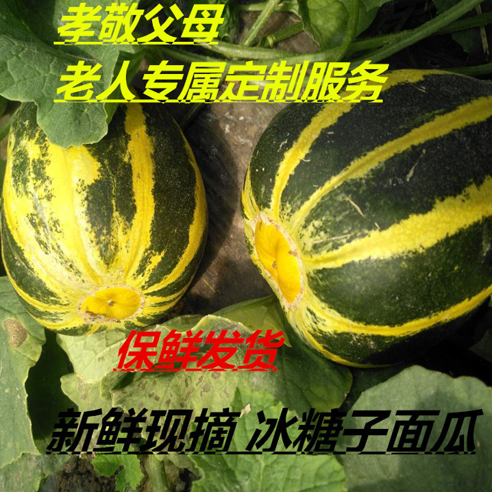 八里香花姑娘香瓜面瓜脆甜多汁新鲜花皮面瓜应季时令水果花蕾甜瓜