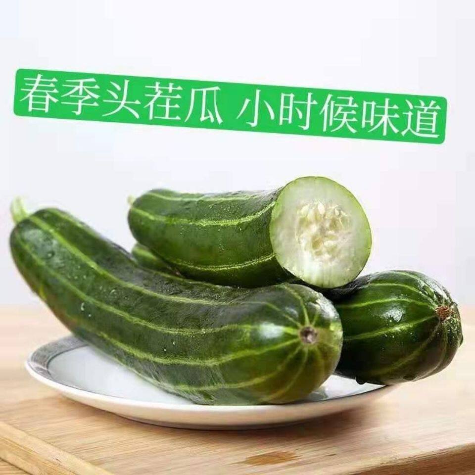 青龙瓜脆瓜稍瓜菜瓜烧瓜旮瘩脆瓜不甜孕妇水果八棱脆瓜顺丰包邮