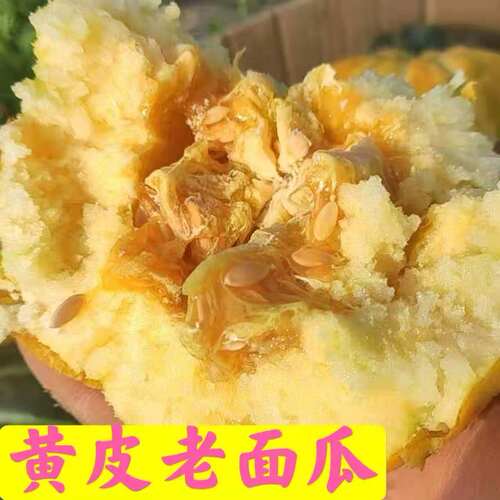 山东黑皮低糖老年人面瓜