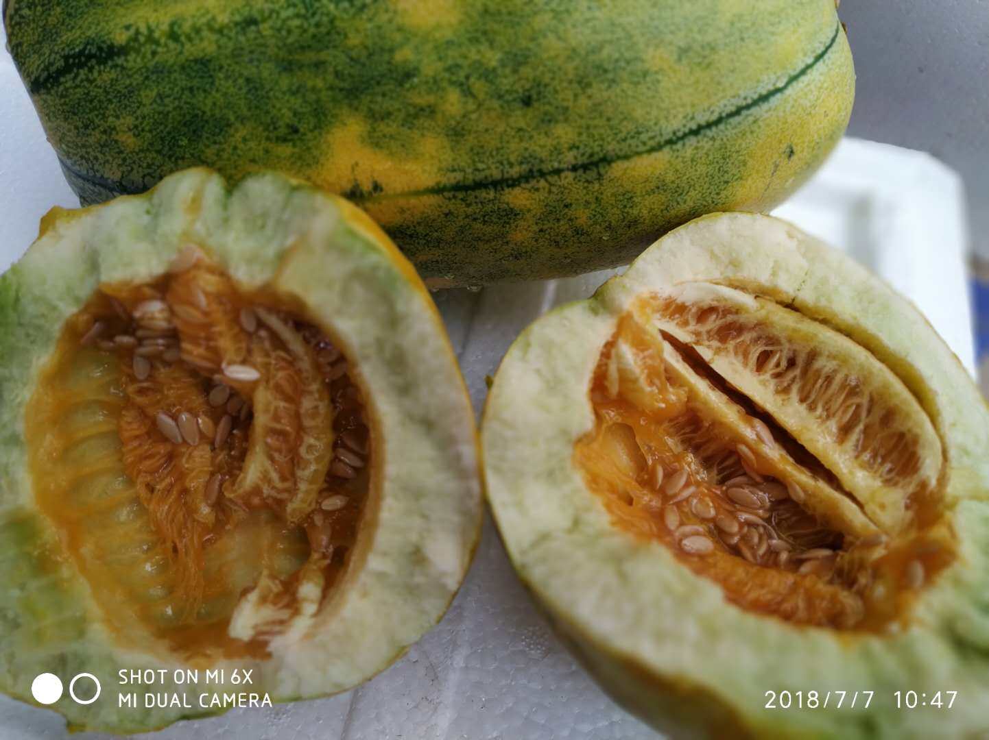 山东老面瓜黄皮花皮面瓜黑皮面瓜香瓜老年人微甜水果采摘顺丰包邮