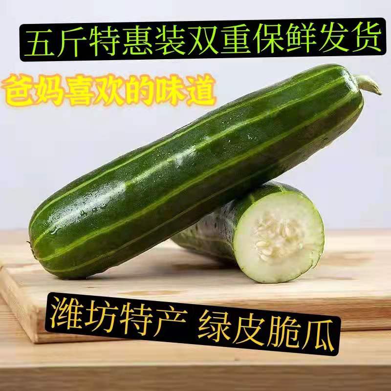 山东潍坊脆瓜稍瓜烧瓜不甜菜瓜青龙脆...