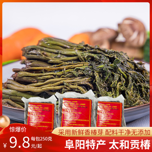 皖北特产新鲜腌制香椿芽太和香椿贡椿营养健康无添加炒菜袋装250g
