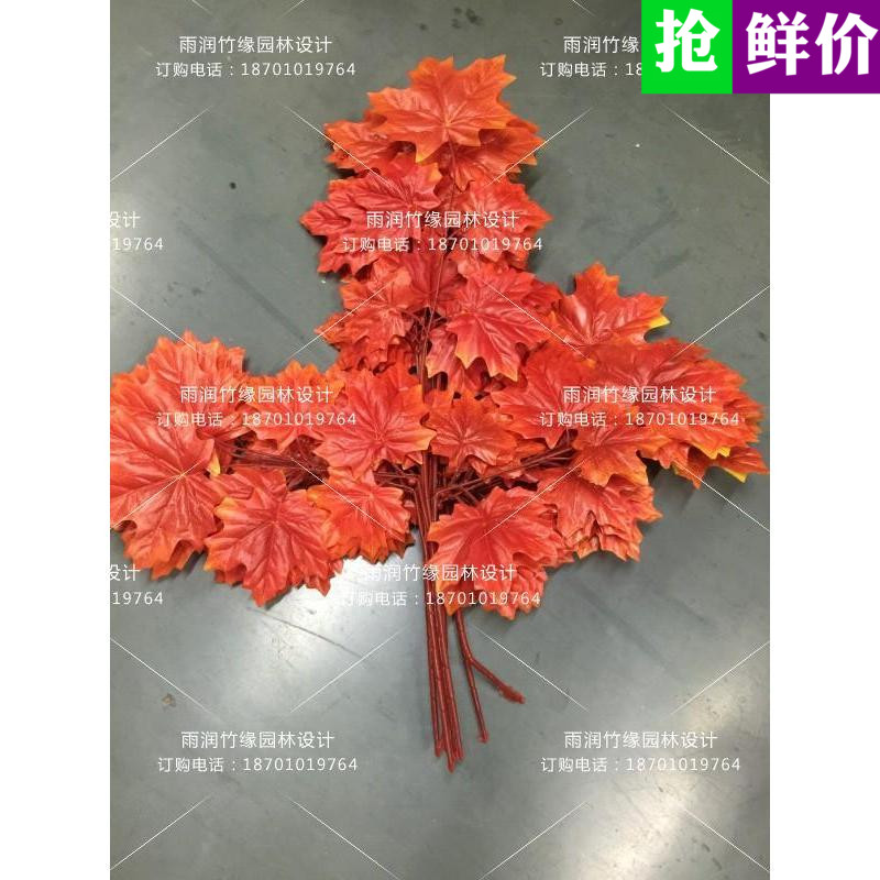 园林插花红色植物背景墙假叶子