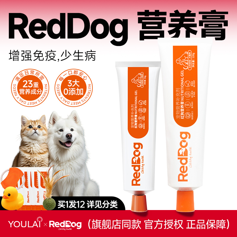 加购物车关注店铺粉丝专享J