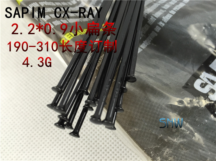 SAPIM CX-RAY辐条 直头 弯头 4.2G 破风 DT 协达 超轻 BIG CAT