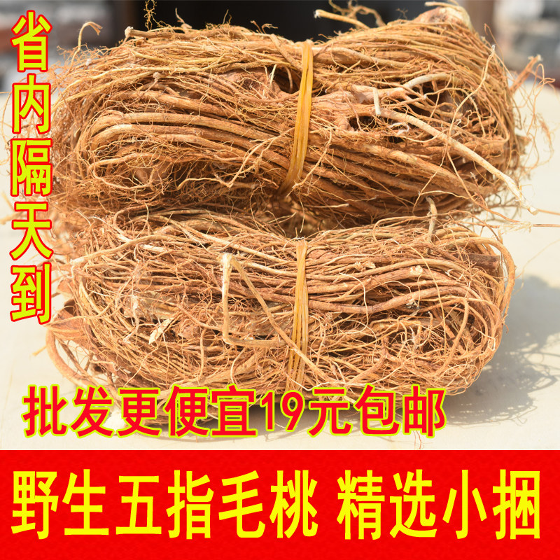 正宗野生五指毛桃根中药材土茯苓煲汤材料新鲜干货五爪龙500g特级