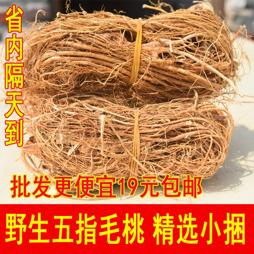 正宗野生五指毛桃根中药材土茯苓煲汤材料新鲜干货五爪龙500g特级