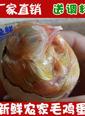 农家毛蛋鸡胚蛋新鲜喜蛋旺鸡蛋