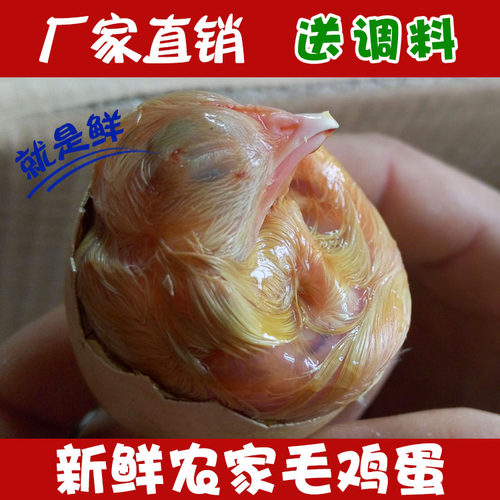 农家毛蛋鸡胚蛋新鲜喜蛋旺鸡蛋