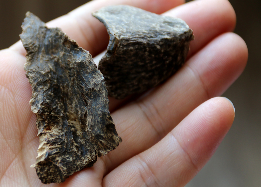 一品斋海南沉香沉水老香琼脂原生态4.57克料子硬实适入药泡饮泡酒,洗护清洁剂/卫生巾/纸/香薰,香薰香料,淘宝优惠券,粉丝福利购,淘宝优惠卷